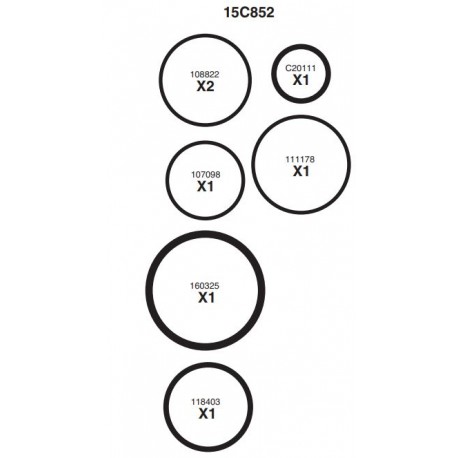 Repair Kit Pompe Reactor E30 (15C852) Graco
