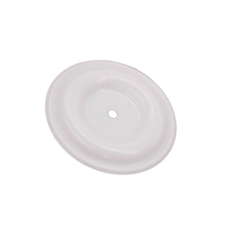 Kit Membranes Husky 307 - PTFE (D03001) Graco