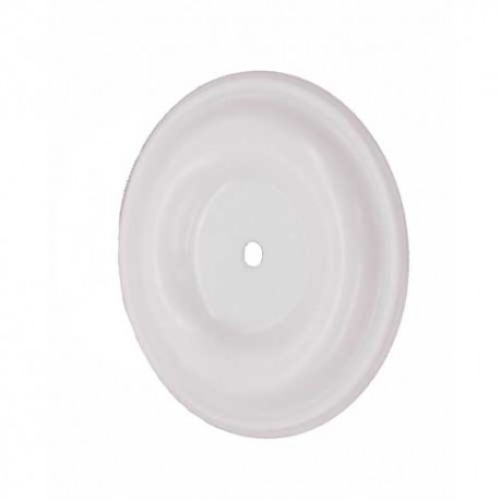 Membrane Husky 205 PTFE (D01001) Graco