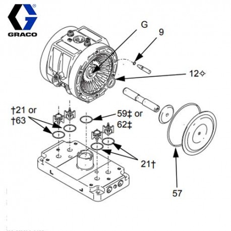 Clapets Husky 205, PVDF (D010A0) Graco
