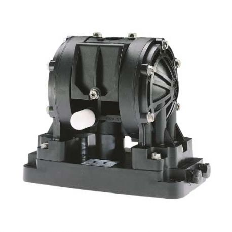 Husky 205, Acétal, Acétal, PTFE (D11021) Graco