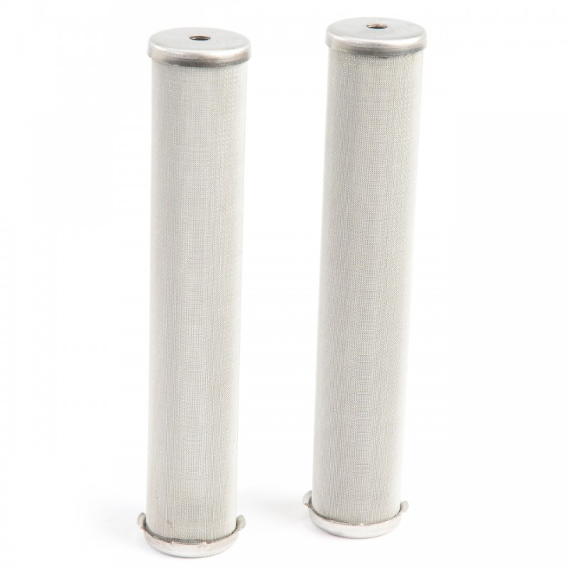 Filtres bas de pompe 100 mailles x 2 (224468) Graco