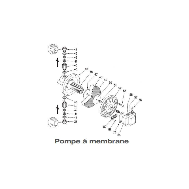 Pompe à membrane Rinçage Laveur IWK (1020SOL31) Iwata