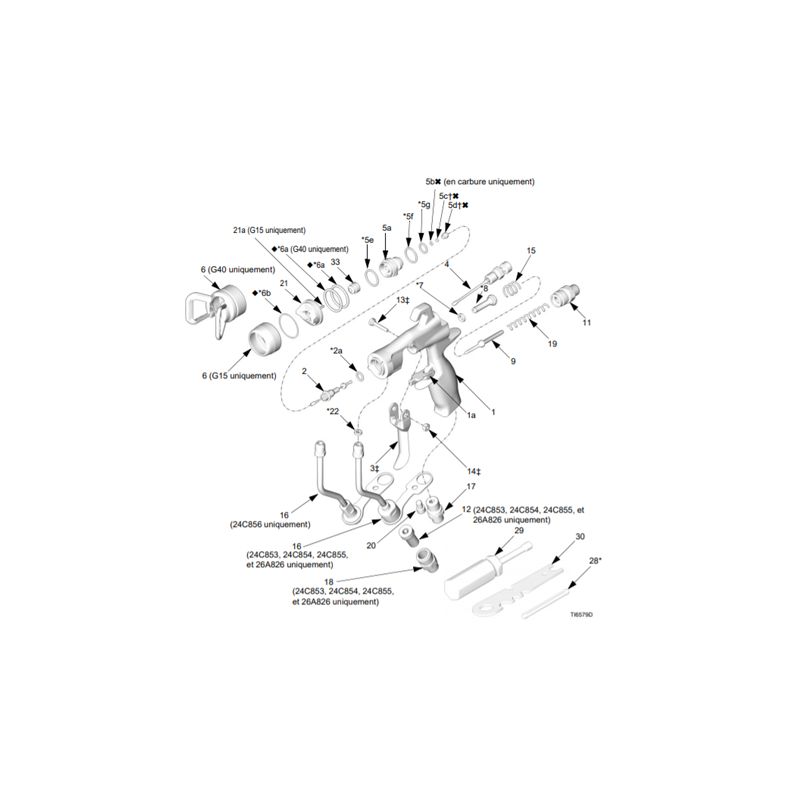 Protecteur de Buse Pistolet G40 (24D439) Graco