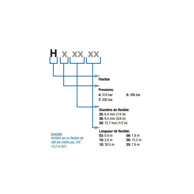 Flexible Haute Pression 310 bars Graco