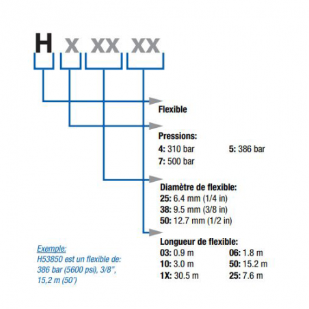 Flexible Haute Pression 310 bars Graco