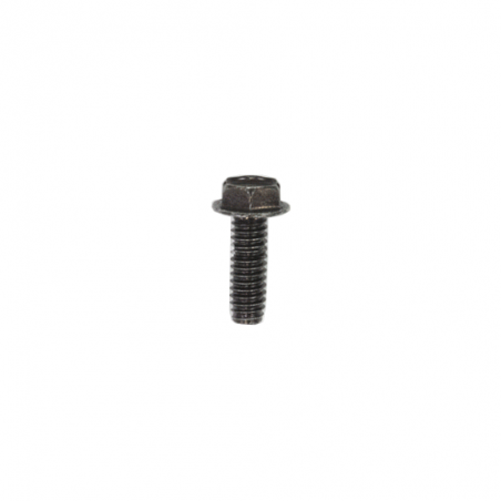 Vis à tête hexagonale GX21 (115498) Graco